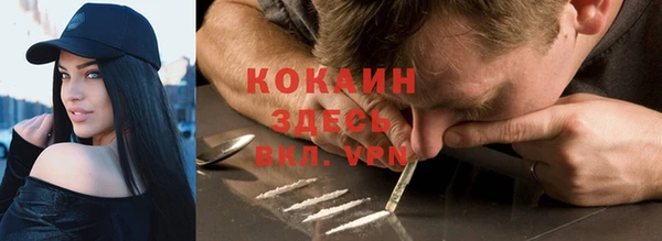 кокс Алексин
