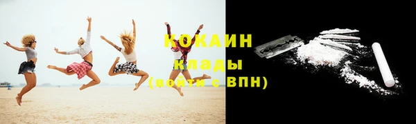 кокс Алексин