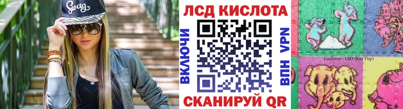 где можно купить наркотик Губкин Марки 25I-NBOMe 1500мкг