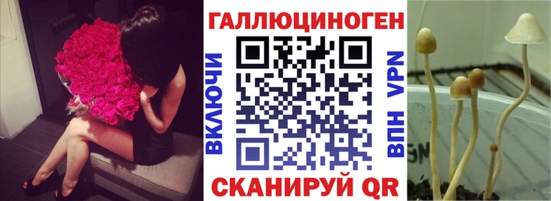 где найти наркотики Губкин Галлюциногенные грибы Psilocybine cubensis
